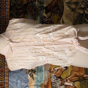 Lizwear Sequined Pink Striped Top